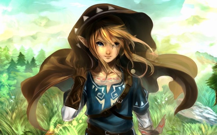 The Legend of Zelda: Breath of the Wild Theme screenshot #2