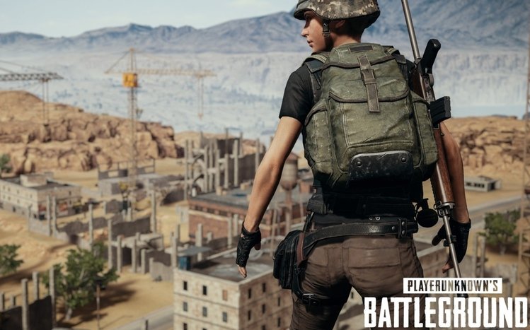 PUBG Theme screenshot #7
