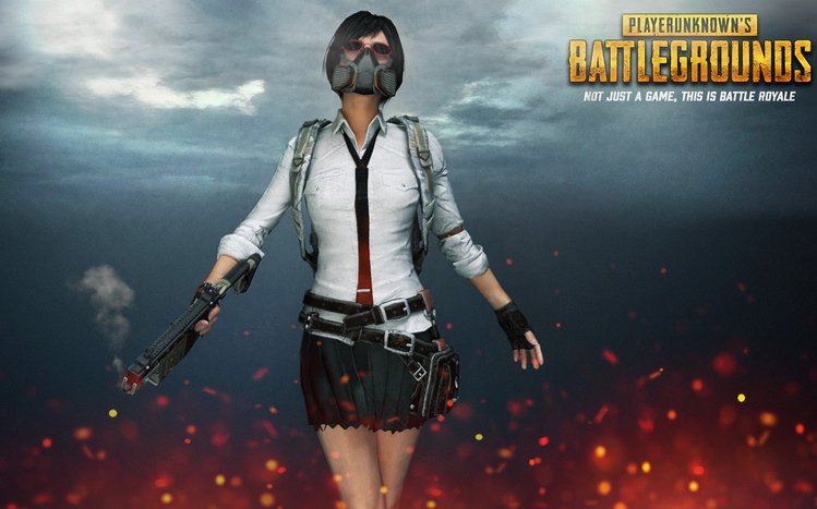 PUBG Theme screenshot #4
