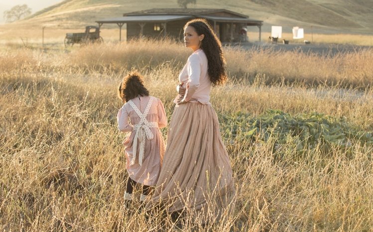 Westworld Theme screenshot #9