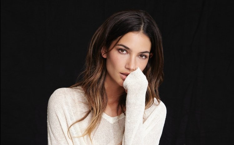 Lily Aldridge Theme screenshot #4