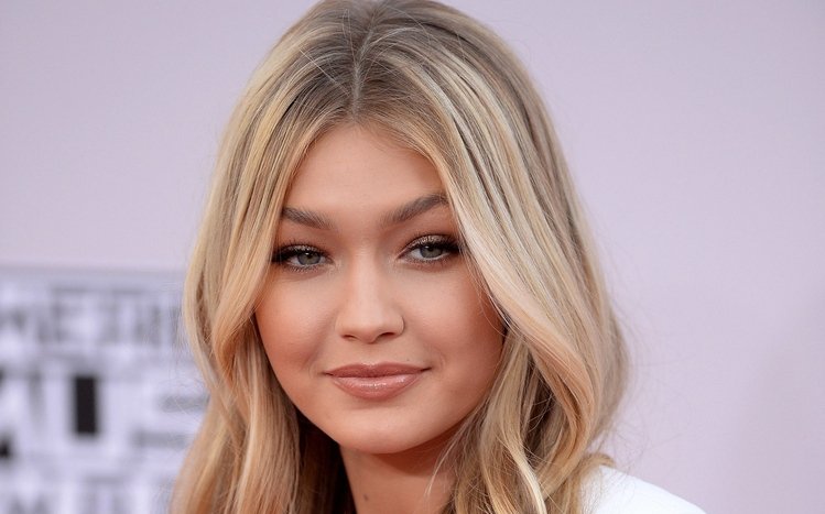 Gigi Hadid Theme screenshot #1