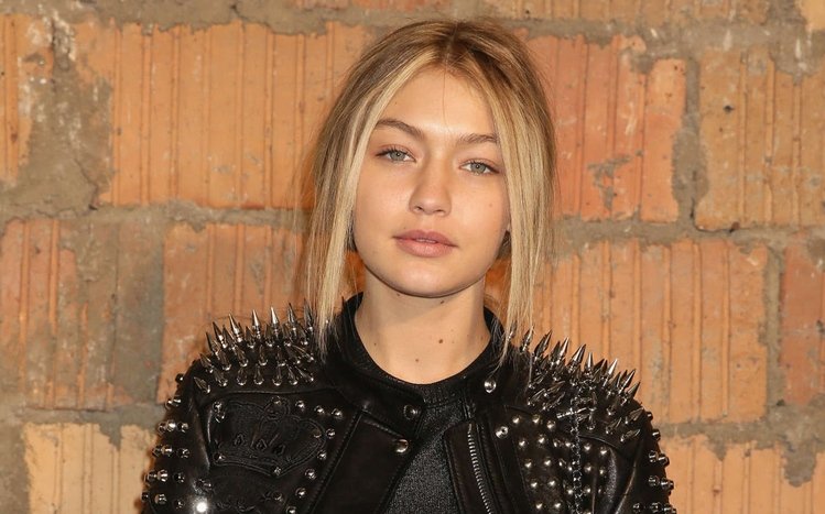 Gigi Hadid Theme screenshot #9