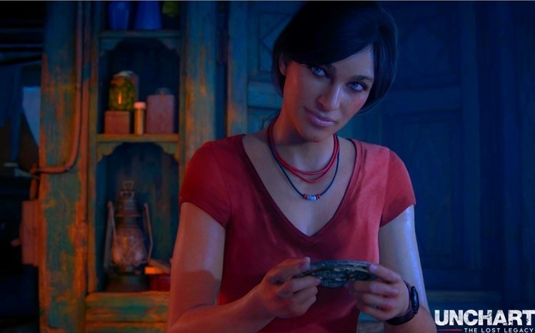 Uncharted: The Lost Legacy Theme screenshot #6