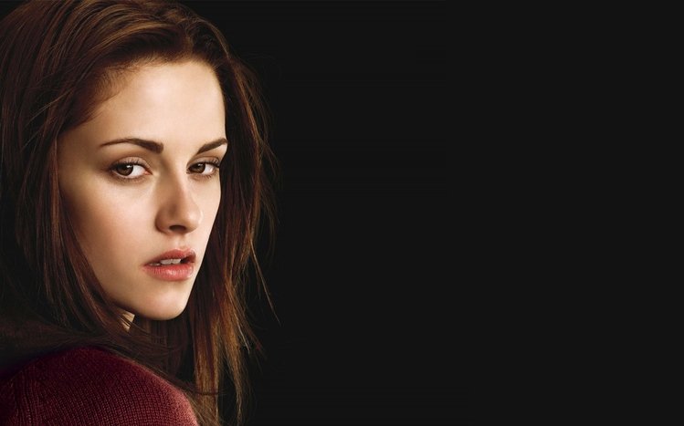 Twilight Theme screenshot #4