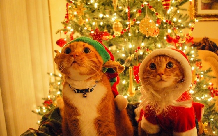Christmas Cute Animals Theme screenshot #14
