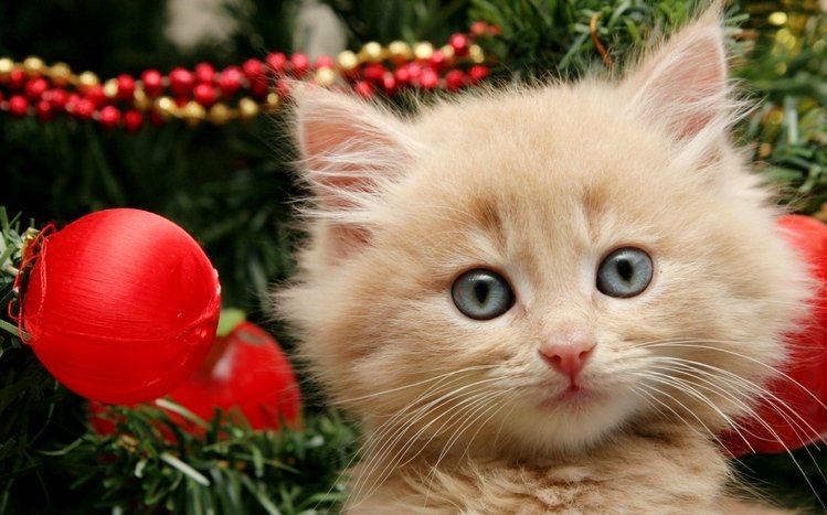Christmas Cute Animals Theme screenshot #6