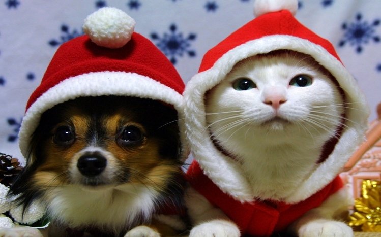 Christmas Cute Animals Theme screenshot #1