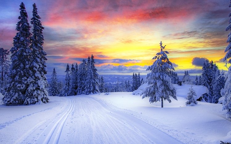 Snowy Landscapes Theme screenshot #2