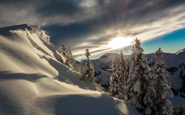 Snowy Landscapes Theme screenshot #6