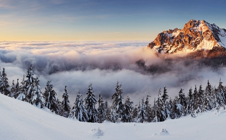 Snowy Landscapes Theme screenshot #13