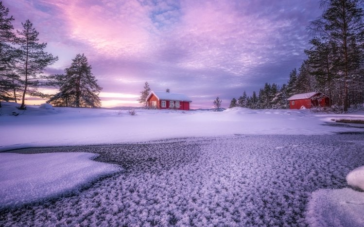 Snowy Landscapes Theme screenshot #17