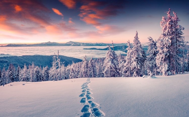 Snowy Landscapes Theme screenshot #1