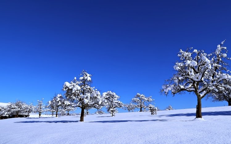 Snowy Landscapes Theme screenshot #11