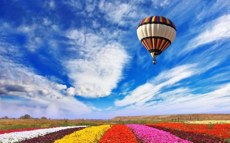 Hot Air Balloon Theme screenshot #12