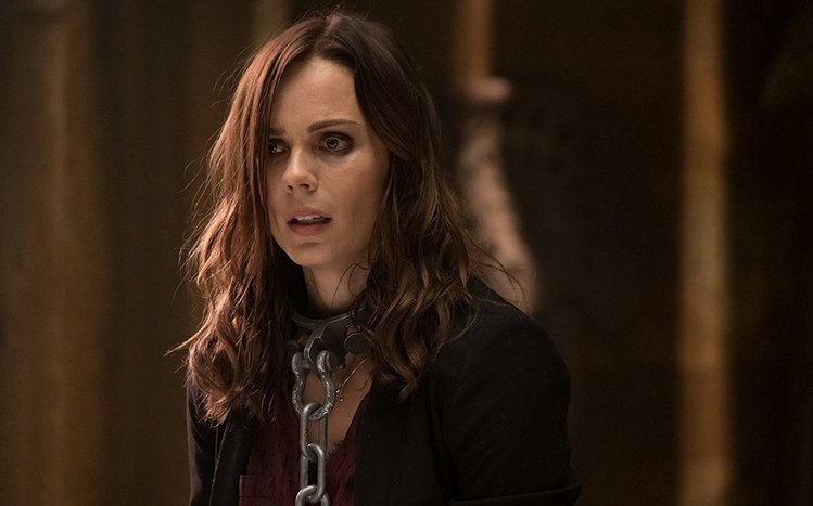 Jigsaw Theme screenshot #17