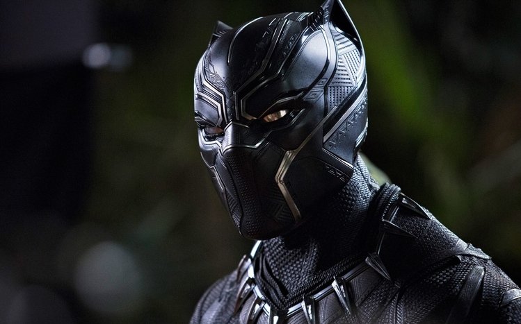 Black Panther (Movie) Theme screenshot #15