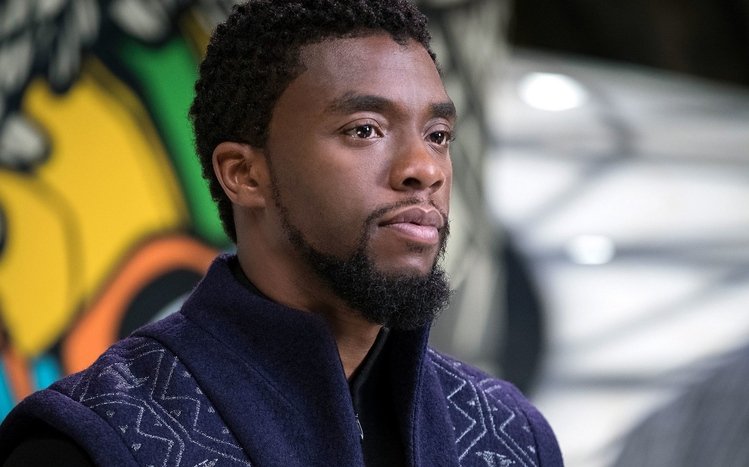Black Panther (Movie) Theme screenshot #6