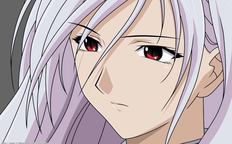 Rosario + Vampire Theme screenshot #15