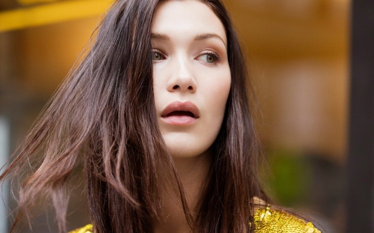 Bella Hadid Theme screenshot #8