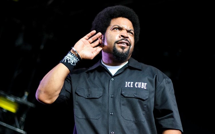 Ice Cube Theme screenshot #14