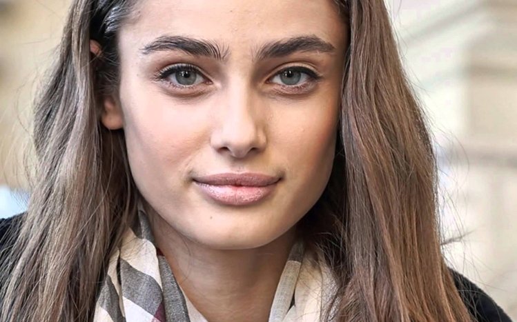 Taylor Hill Theme screenshot #4