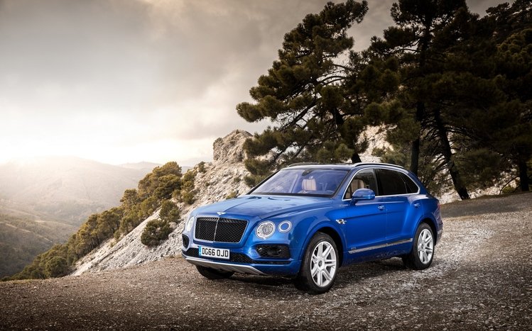 Bentley Bentayga Field Sports Theme screenshot #11
