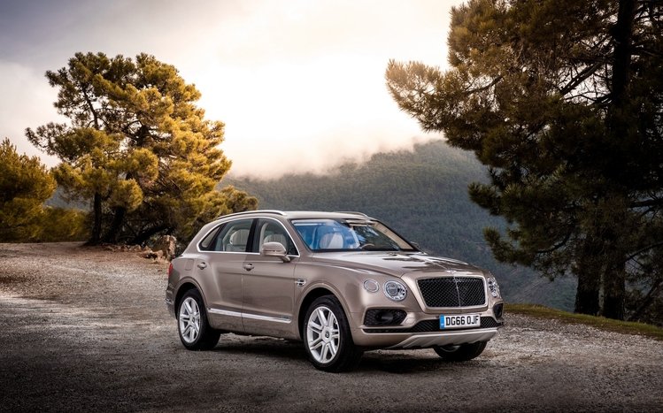 Bentley Bentayga Field Sports Theme screenshot #10