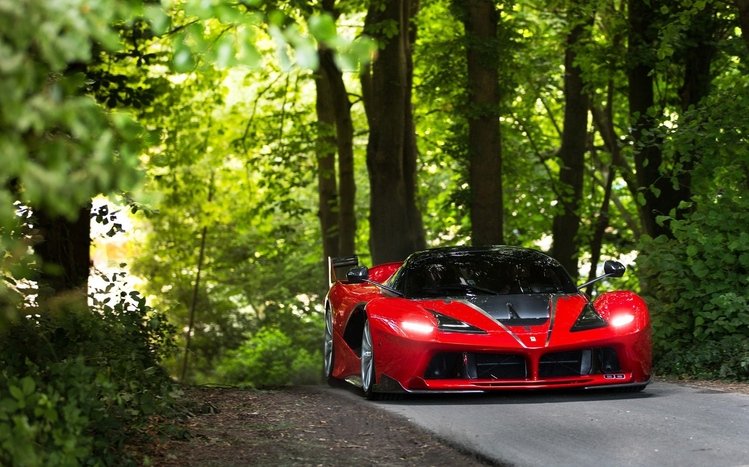 Ferrari FXX Theme screenshot #13