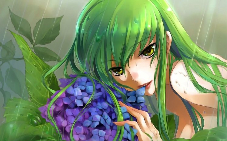 Code Geass Theme screenshot #10