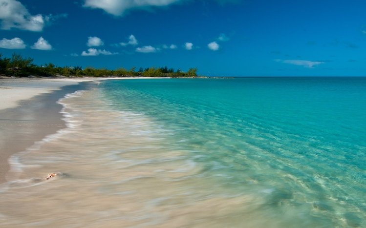 Bahamas Theme screenshot #6