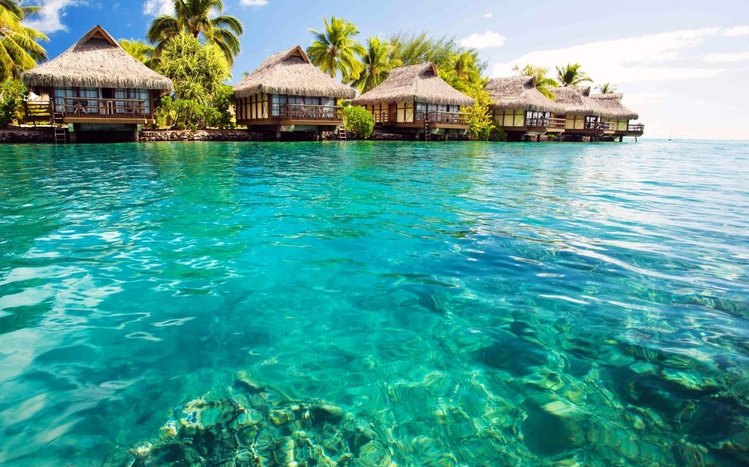 Bahamas Theme screenshot #2