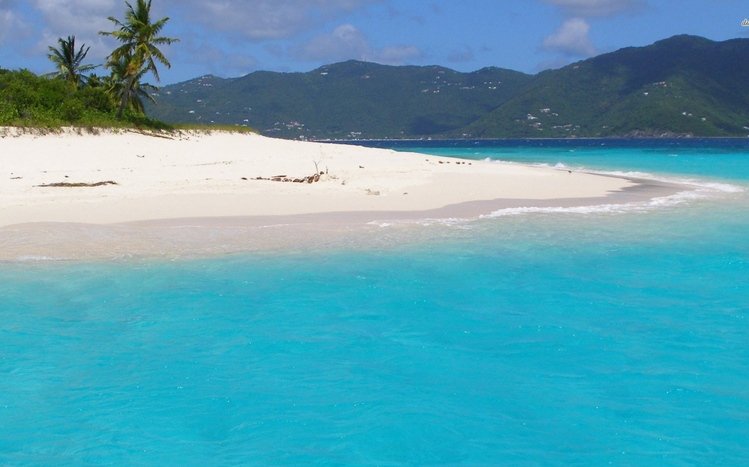 Bahamas Theme screenshot #11