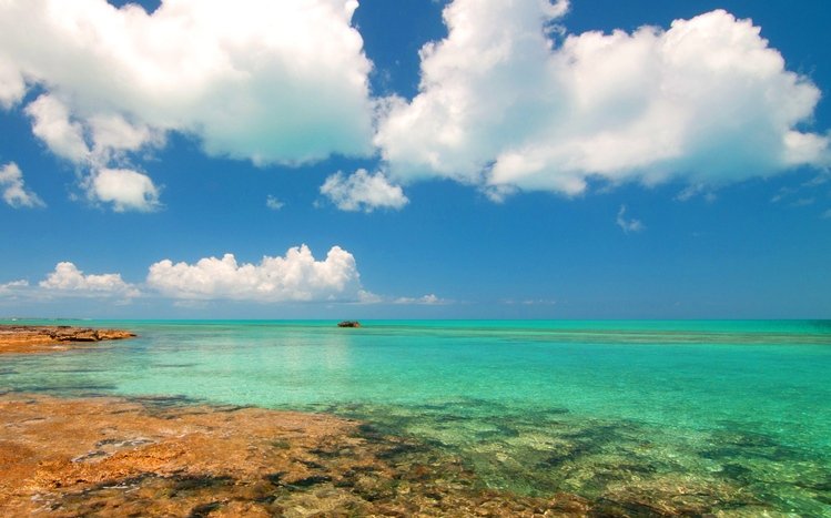 Bahamas Theme screenshot #8