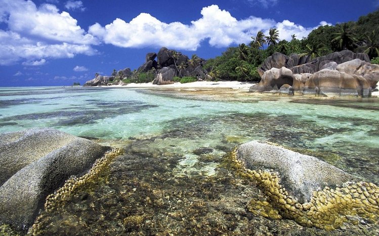 Bahamas Theme screenshot #13