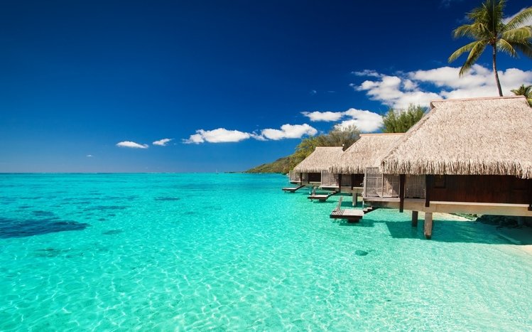 Maldives Theme screenshot #3