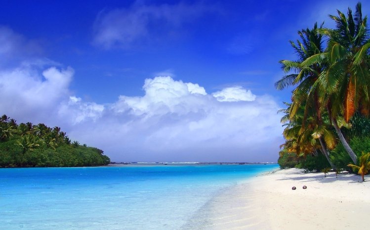 Tropical Paradise Theme screenshot #12