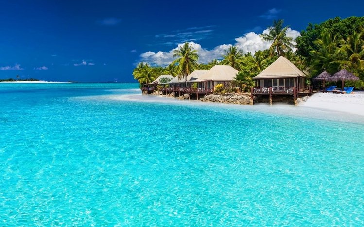 Tropical Paradise Theme screenshot #10