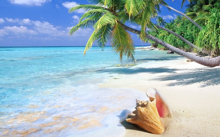 Tropical Paradise Theme screenshot #11