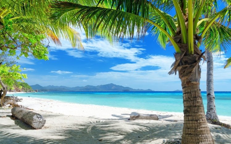 Tropical Paradise Theme screenshot #7