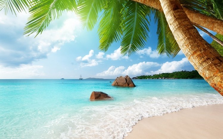 Tropical Paradise Theme screenshot #6