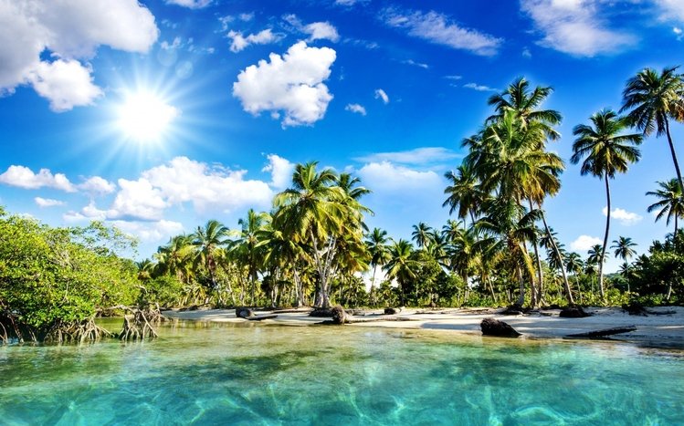 Tropical Paradise Theme screenshot #15