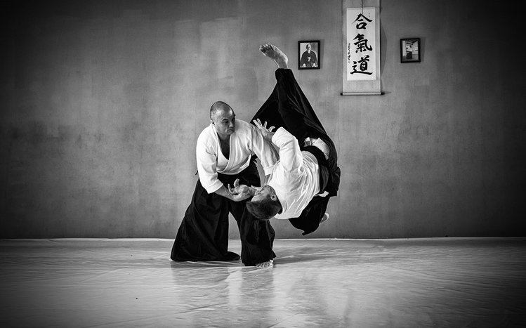 Aikido Theme screenshot #1