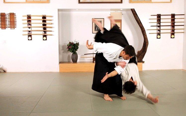 Aikido Theme screenshot #4