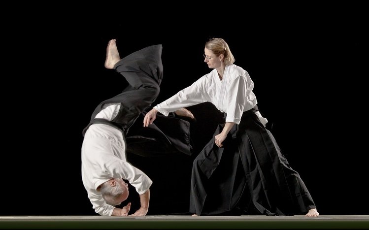 Aikido Theme screenshot #3