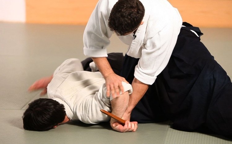 Aikido Theme screenshot #11