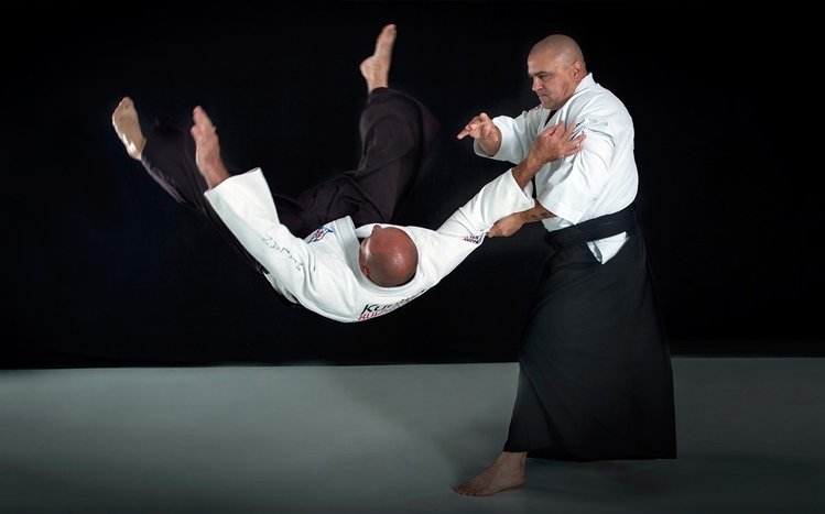 Aikido Theme screenshot #7