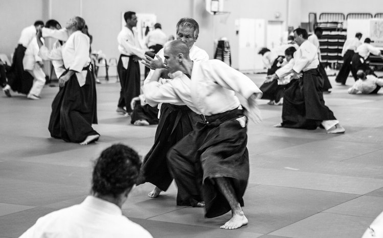 Aikido Theme screenshot #10