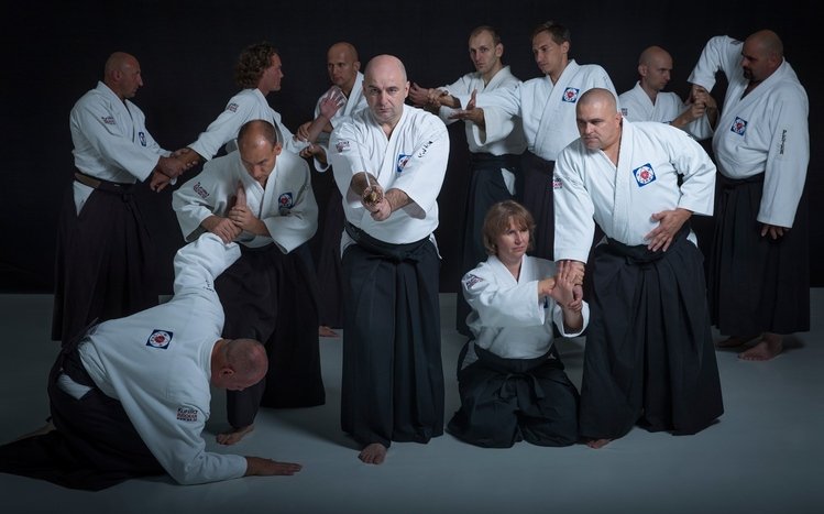 Aikido Theme screenshot #9