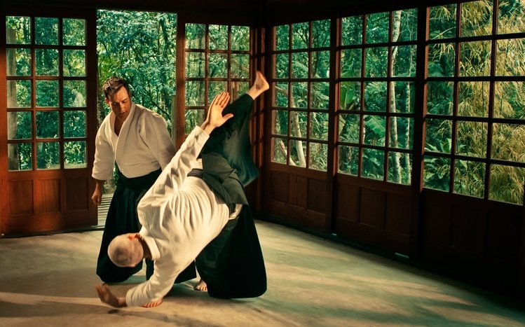 Aikido Theme screenshot #2